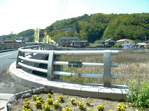n-P1540635