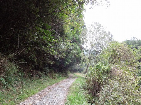 00-DSCN2860