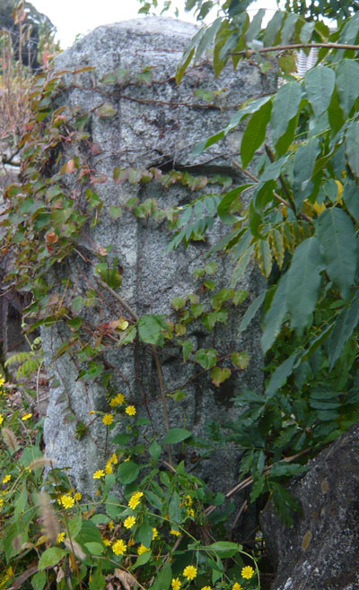 amP1200745