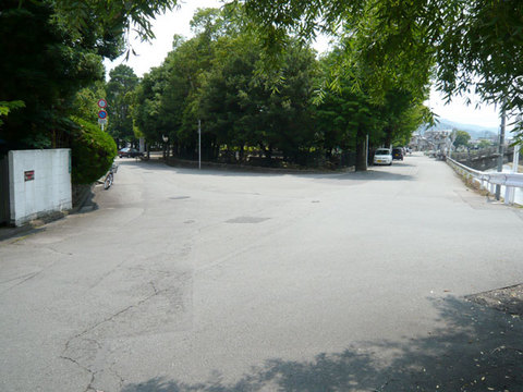 P1120995