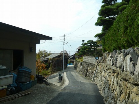 a-P1070453