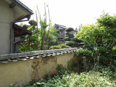 00-DSCN0151
