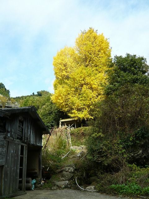 a-P1070415