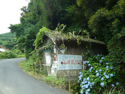 takahata