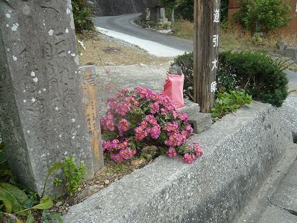 m-P1200789