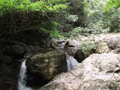 a-DSCF5780