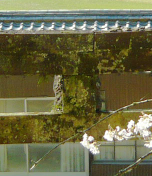 amP1030452