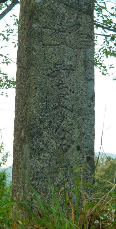 amP1050375d