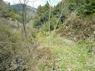 m-P1040945