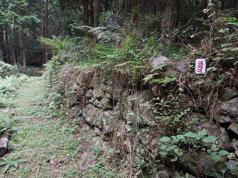 00-DSCN2891