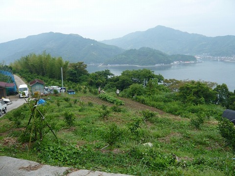 n-P1110132