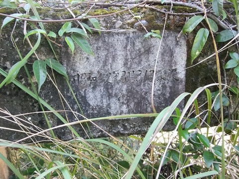a-DSCF8549