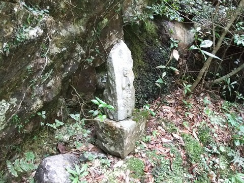 a-DSCF5796