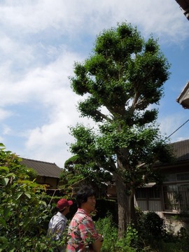 00-DSCN0153