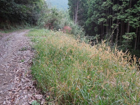 00-DSCN2867