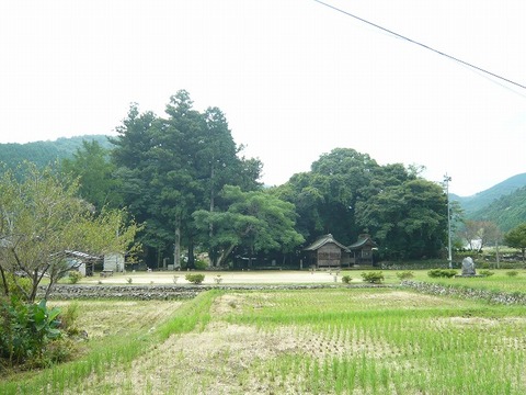 n-P1390138