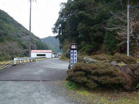 a-P1090194