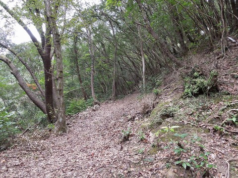 00-DSCN2918