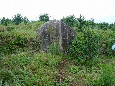 n-P1110166