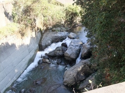 a-DSCF8556