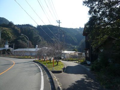toyoura