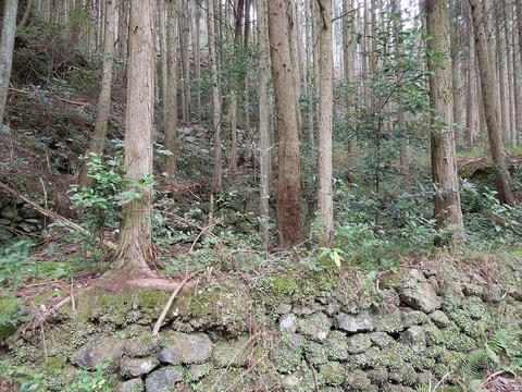 00-DSCN2876