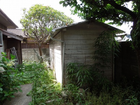 00-DSCN0173