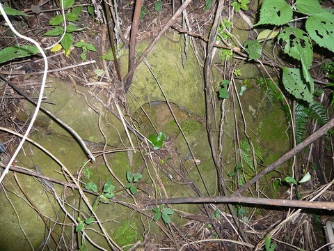 n-P1110180