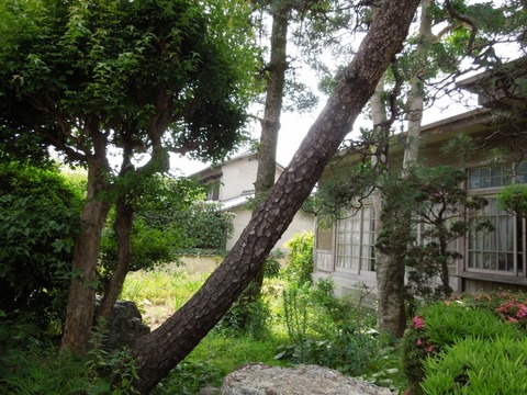 00-DSCN0063
