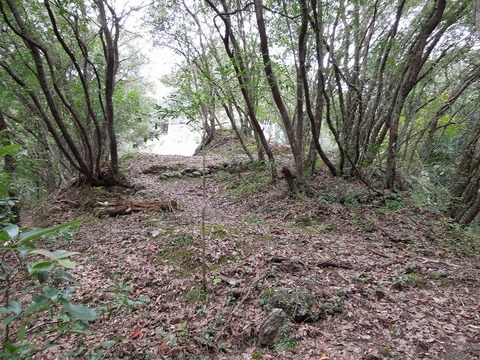 00-DSCN2924