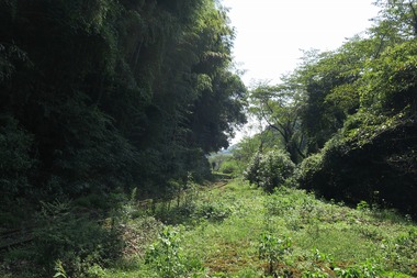 00-IMG_8176