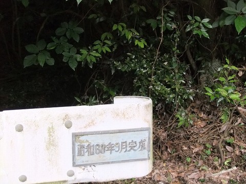 a-DSCF2348