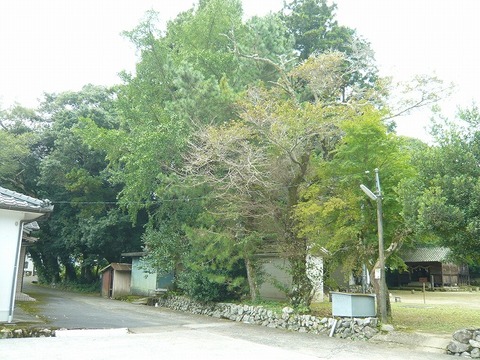n-P1390136