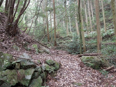 00-DSCN2915