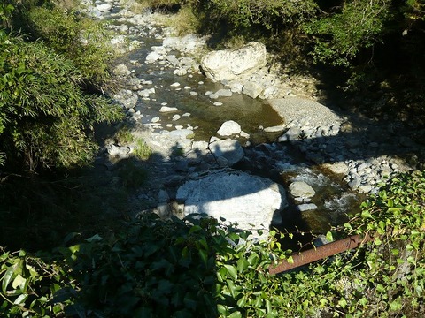 a-P1040261