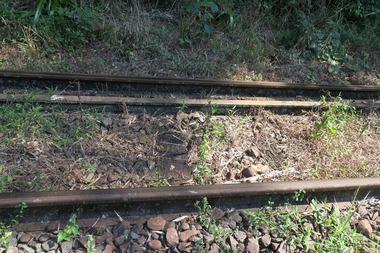 00-IMG_8195