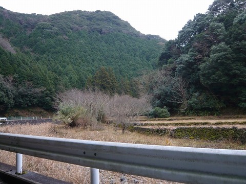 a-P1090200