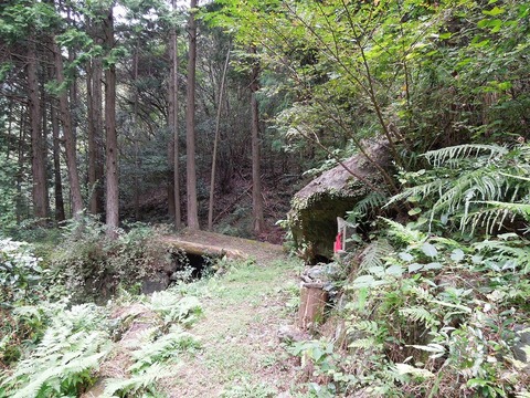 00-DSCN2894