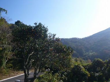 00-P1300251