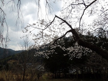 00-DSCN0675
