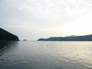 00-P1250535