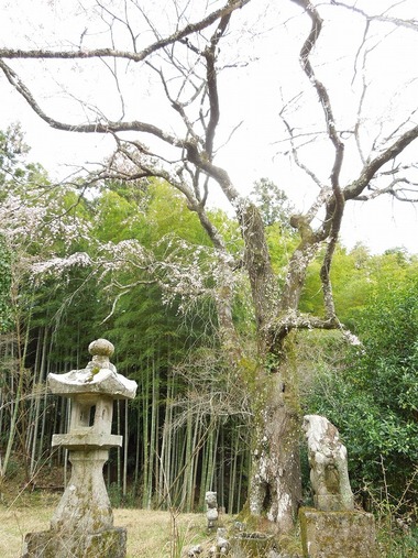 00-DSCN0668