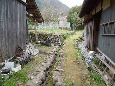 00-DSCN0653