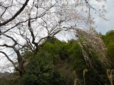 00-DSCN0677