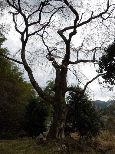 00-DSCN0663