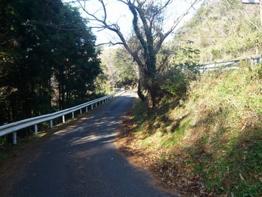 00-P1300246