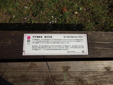 00-DSCN7796