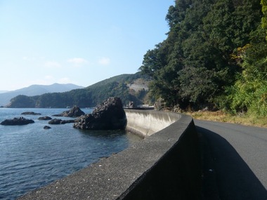 00-P1300294