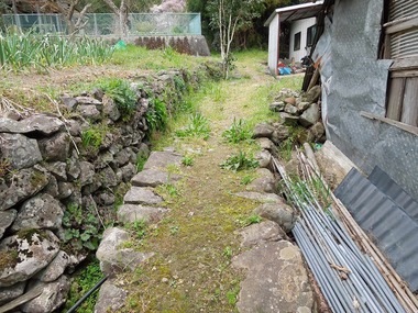 00-DSCN0651