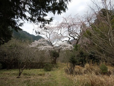 00-DSCN0660